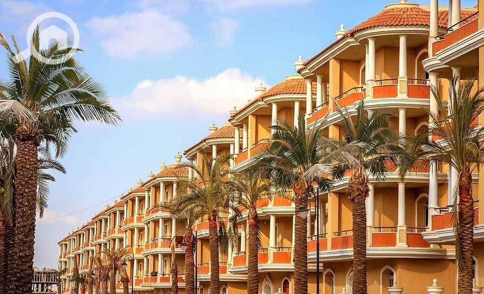 5 WhatsApp Image 2025-06-01 at 4.36. 40 PM. jpeg