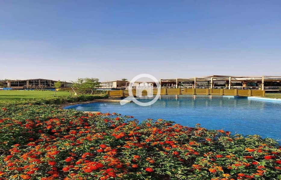 4 4c85066e-1e8e-44c2-ba34-42dcd72aad5b. jpg