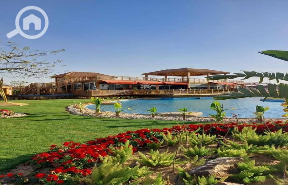 11 dc4f24dd-12cd-4f55-abaa-078a5e699a1c. jpg