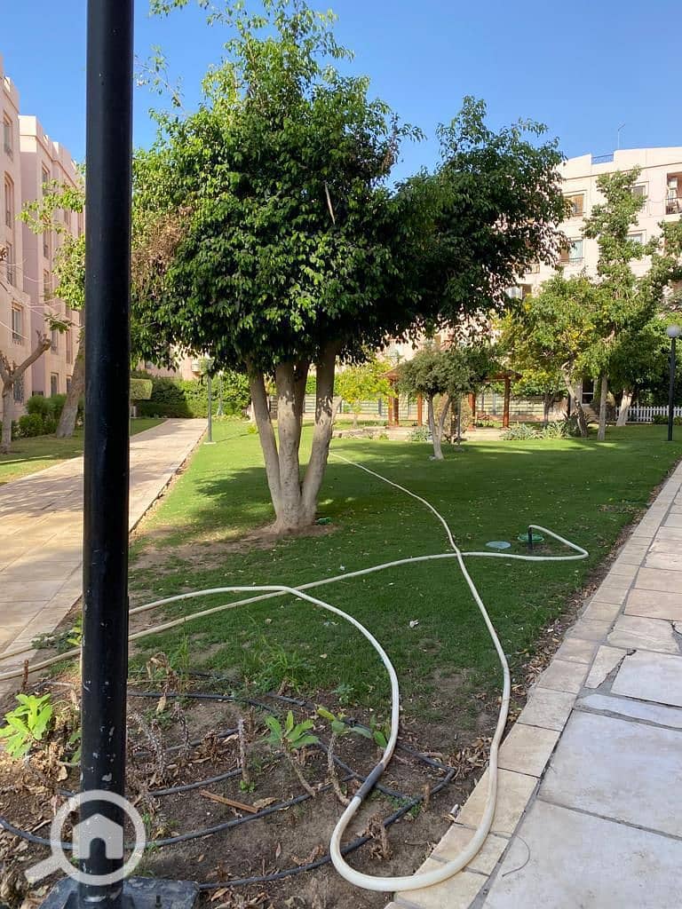 15 IMG-20251204-WA0063. jpg