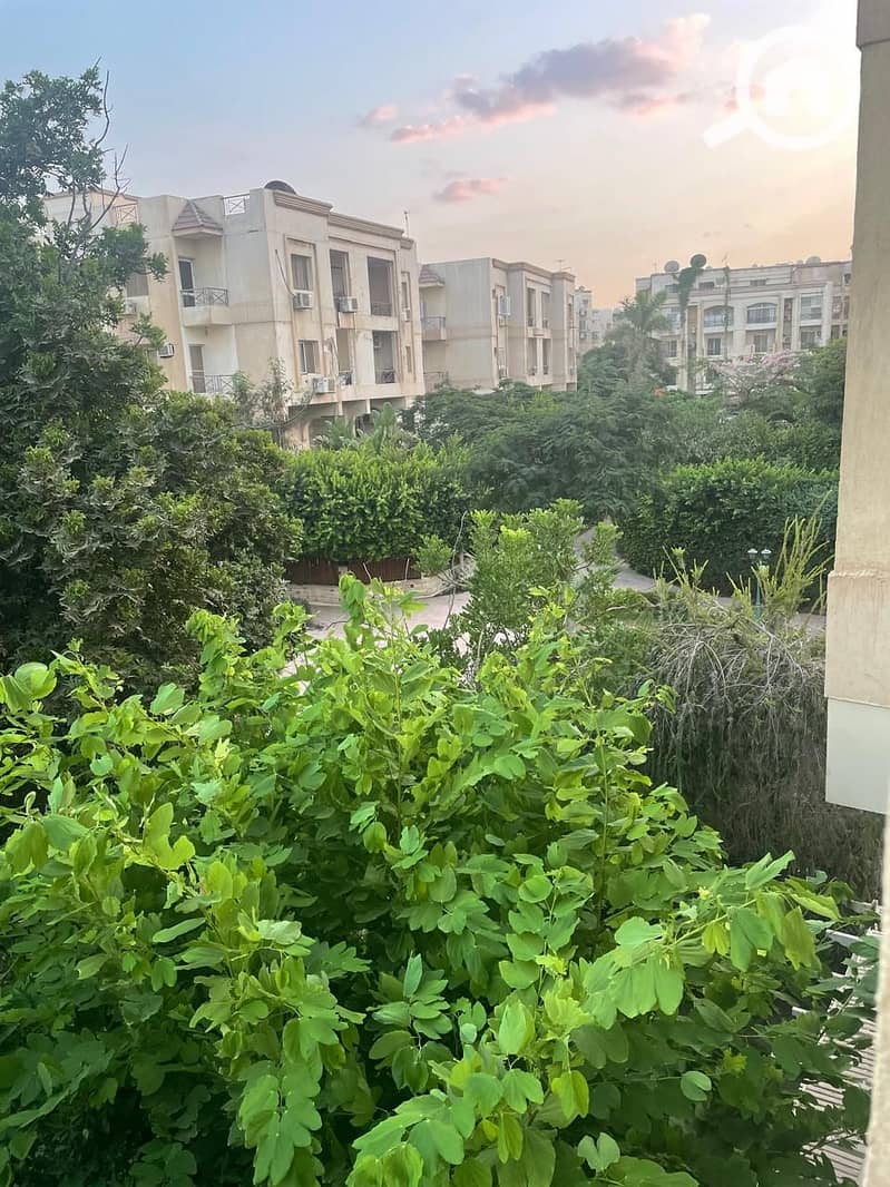 5 WhatsApp Image 2025-12-03 at 3.31. 46 PM (2). jpeg