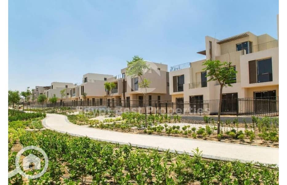 6 8077344-bcf9do. jpg