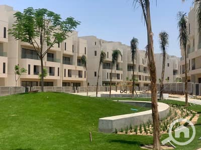 4 Bedroom Townhouse for Sale in Shorouk City, Cairo - WhatsApp Image 2025-11-27 at 1.12. 37 PM (1). jpeg