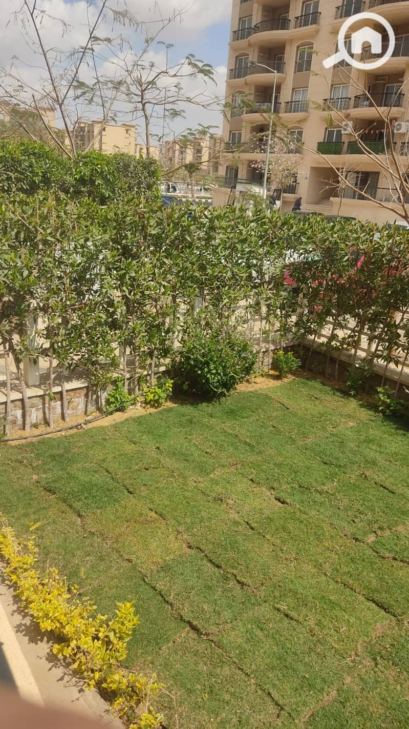 11 5cb2f187-4341-4e3f-b837-529888a2ae92. jpeg