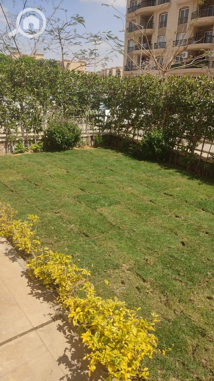 12 39fdb320-1604-4f24-a0e8-3100377f4dea. jpeg