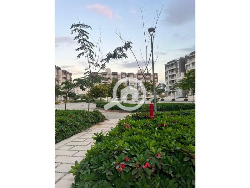 4 WhatsApp Image 2025-12-07 at 3.19. 59 PM. jpg