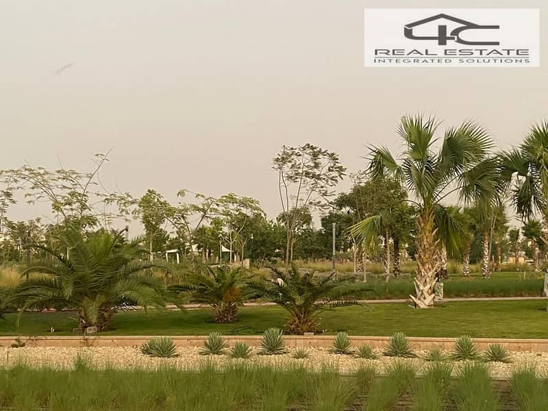 5 WhatsApp Image 2025-12-08 at 4.37. 02 AM (2). jpeg