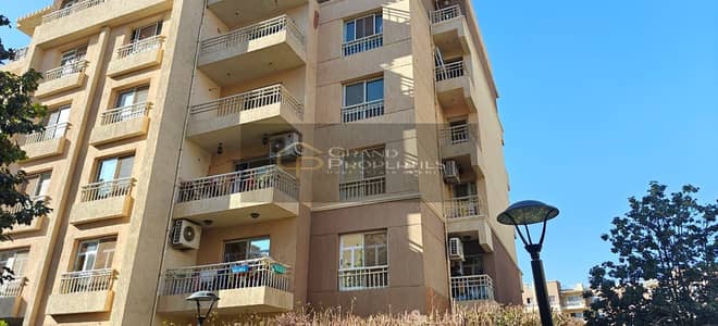 3 Bedroom Flat for Rent in Madinaty, Cairo - a4125eff-e876-454a-a5fd-b78a28489e4e. jpg 3 Bedroom Flat for Rent in Madinaty, Cairo - a4125eff-e876-454a-a5fd-b78a28489e4e. jpg