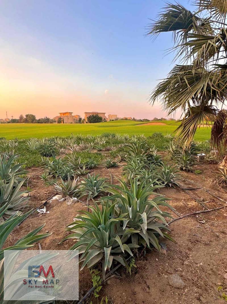 4 06380c53-0deb-4980-b825-844fbdd5e59c. jpg