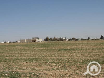 أرض سكنية  للبيع في طنطا، الغربية - 70efd42a26807b7ee374e7d324bc0bdf. jpg