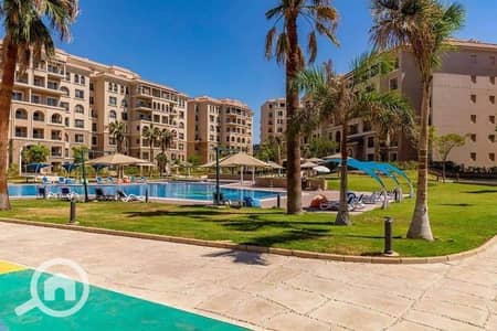 3 Bedroom Apartment for Sale in New Cairo, Cairo - 464760143_1311933536882115_7436114389484523937_n. jpg 3 Bedroom Apartment for Sale in New Cairo, Cairo - 464760143_1311933536882115_7436114389484523937_n. jpg