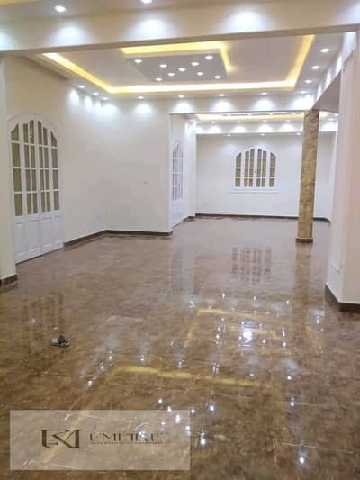 3 Bedroom Flat for Rent in New Cairo, Cairo - WhatsApp Image 2025-12-03 at 5.33. 03 PM. jpeg 3 Bedroom Flat for Rent in New Cairo, Cairo - WhatsApp Image 2025-12-03 at 5.33. 03 PM. jpeg