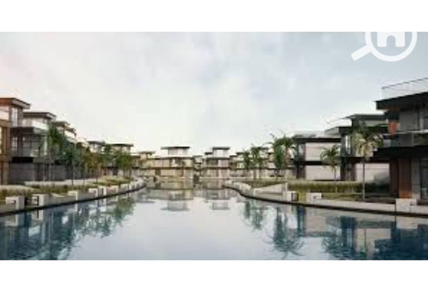 9 c6dd9110-e151-11ef-93f9-d271bf34b16e. jpeg