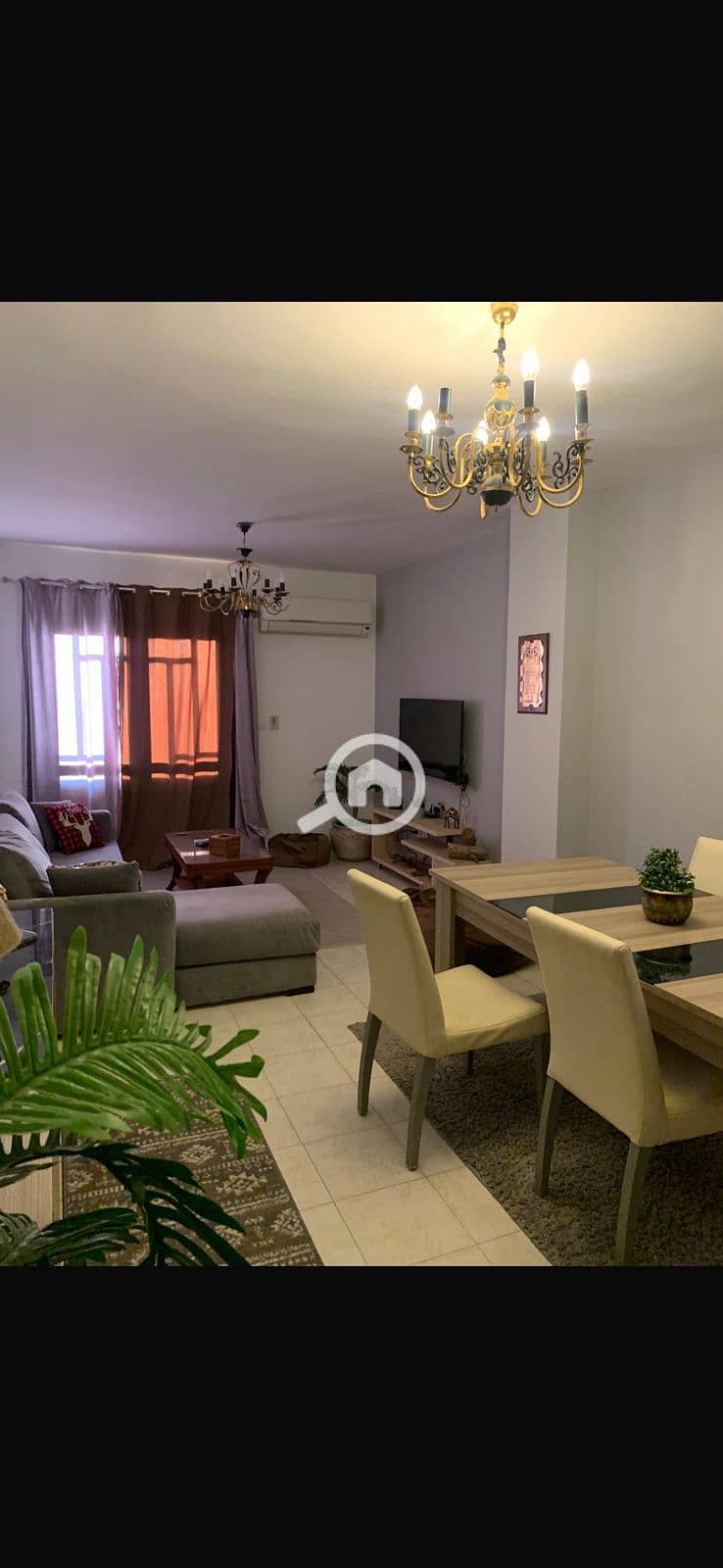 3 06447bf5-1785-403f-8d59-d075d4797538. jpeg