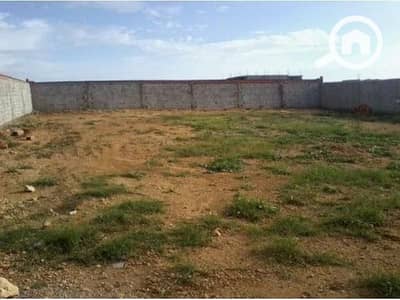 أرض سكنية  للبيع في طنطا، الغربية - 80c625b4226982da862e5ceaf9ede6ba. jpg