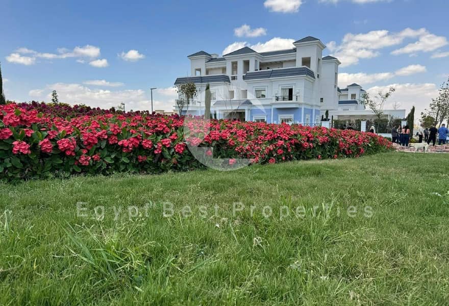 6 40c3f548-3080-49a7-853f-498c72ffb0d3. jpg