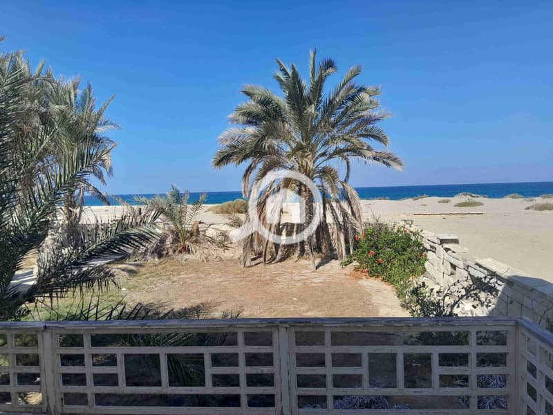 4 IMG-20251208-WA0170. jpg