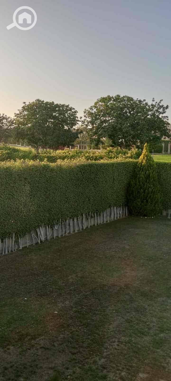 7 ceb612b8-f830-4c55-939d-5a25ccb03a56. jpg