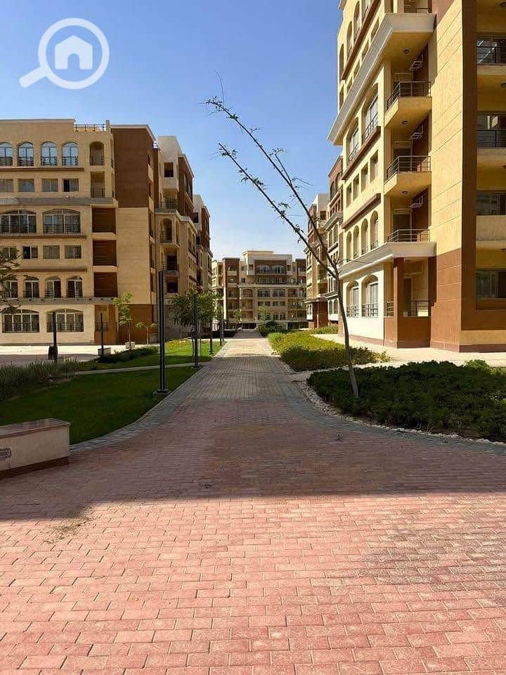 10 481466677_2376731876019518_1713347561146952385_n. jpg