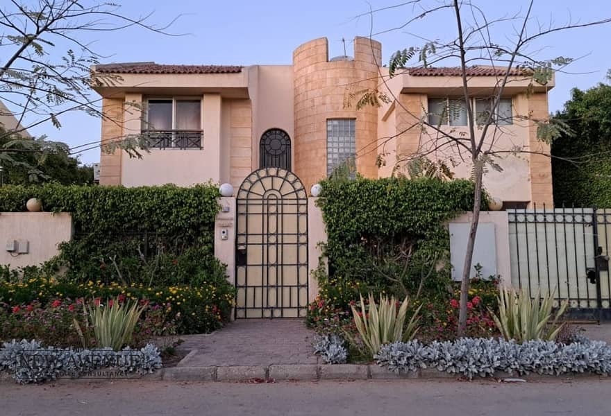 6 37013052-fd46-4bd1-8f74-f4c72ab36ebc. jpg