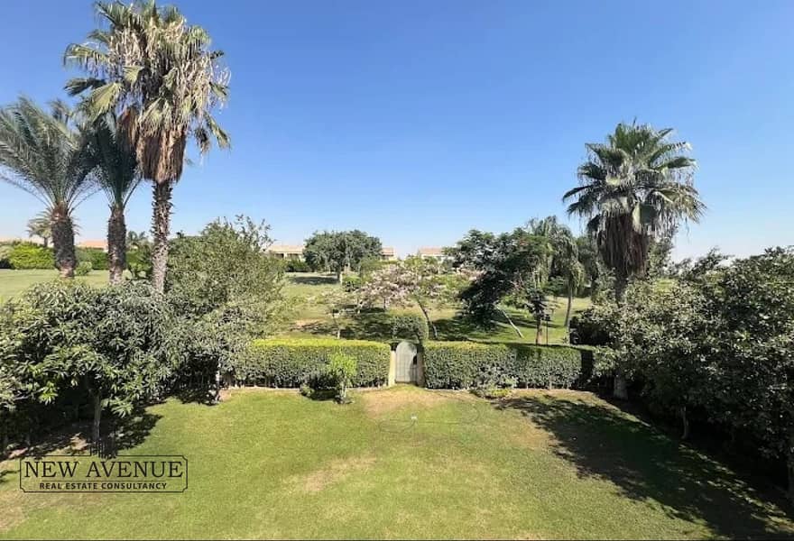 11 8879e164-d5c1-4451-aefa-c73da9cff51f. jpg