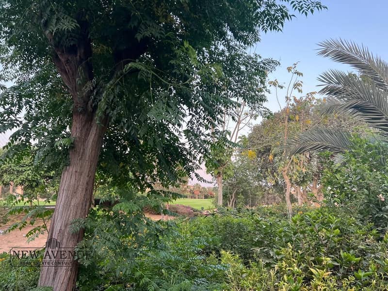 16 WhatsApp Image 2025-11-12 at 6.00. 56 PM (2). jpeg