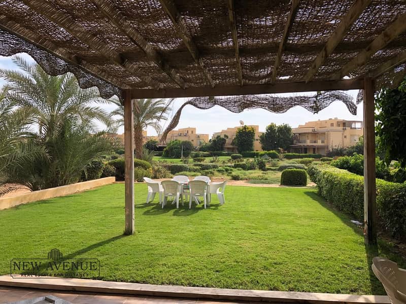 WhatsApp Image 2025-11-13 at 12.49. 43 PM (1). jpeg