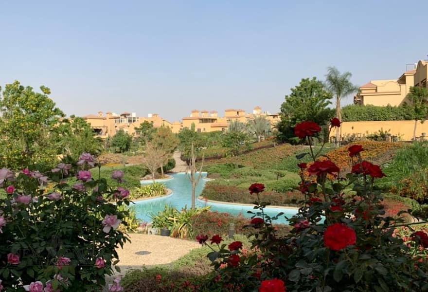 2 055db7cc-5a12-4a21-836d-6b158f682a28. jpg