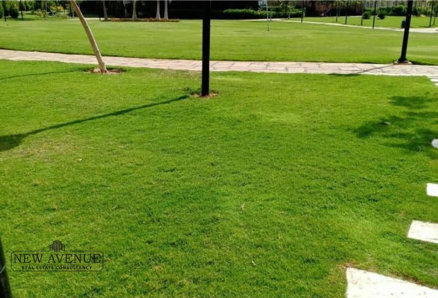 4 8d235a14-ce54-4a75-9e16-1eef490de019. jpg