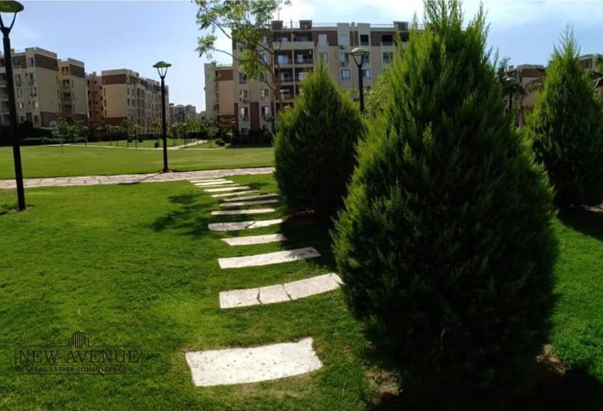 5 a6d05545-e596-4e56-9bd5-348d366f834d. jpg