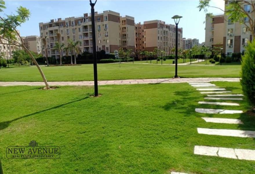 7 a4d89bc1-afc1-4e50-958d-253b2d7bb52a. jpg