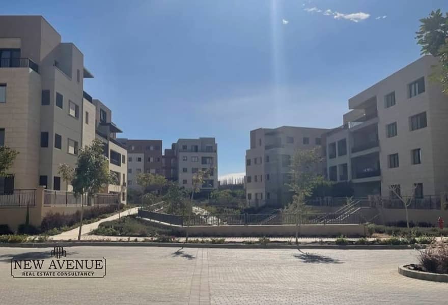 5 08f0d0e0-bcf4-4a36-8fb6-b8881fb67423. jpg