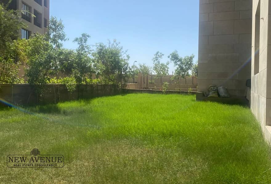 8 499cc4e8-9096-4252-a758-0407f57d9df7. jpg