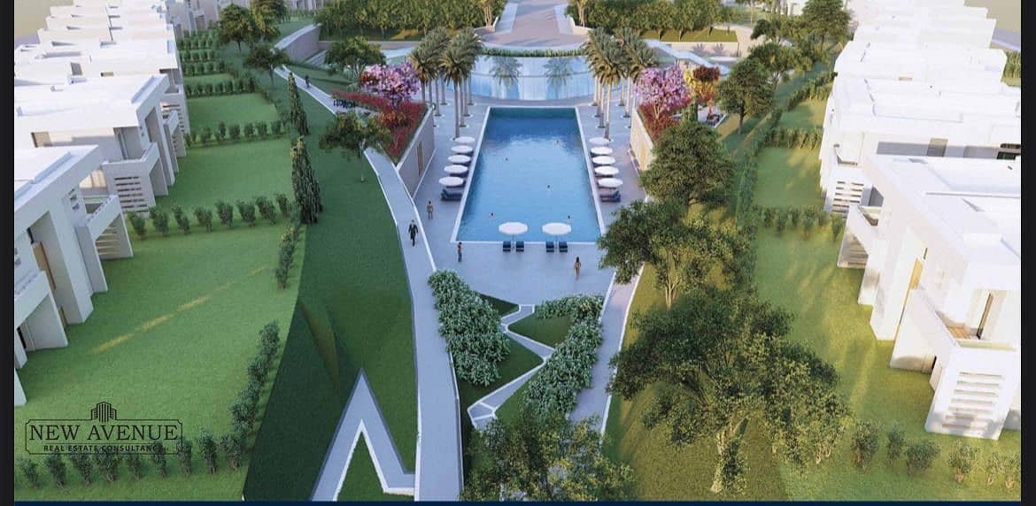 4 80657954-66c8-4773-a507-b5a208429587. jpeg