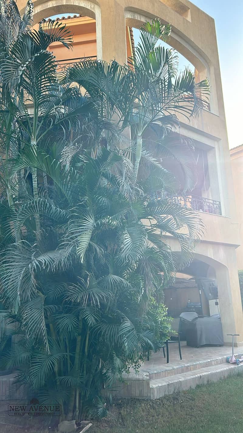 4 WhatsApp Image 2025-11-18 at 4.24. 37 PM (1). jpeg