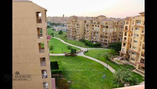 3 Bedroom Flat for Sale in Madinaty, Cairo - WhatsApp Image 2025-11-19 at 3.38. 51 PM. jpeg 3 Bedroom Flat for Sale in Madinaty, Cairo - WhatsApp Image 2025-11-19 at 3.38. 51 PM. jpeg