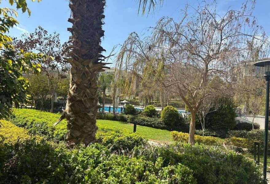 2 a1792174-c9e4-4ab4-9a80-8f9d0ec43998. jpg