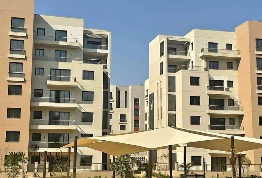 6 23b46a5f-de7a-4c5f-b6ed-69bd378d37f9. jpg