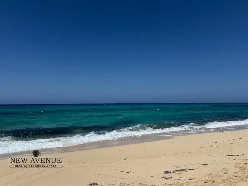 3 WhatsApp Image 2025-10-22 at 11.14. 38 PM. jpg