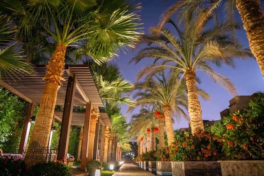 30 WhatsApp Image 2025-11-10 at 1.53. 18 PM. jpeg