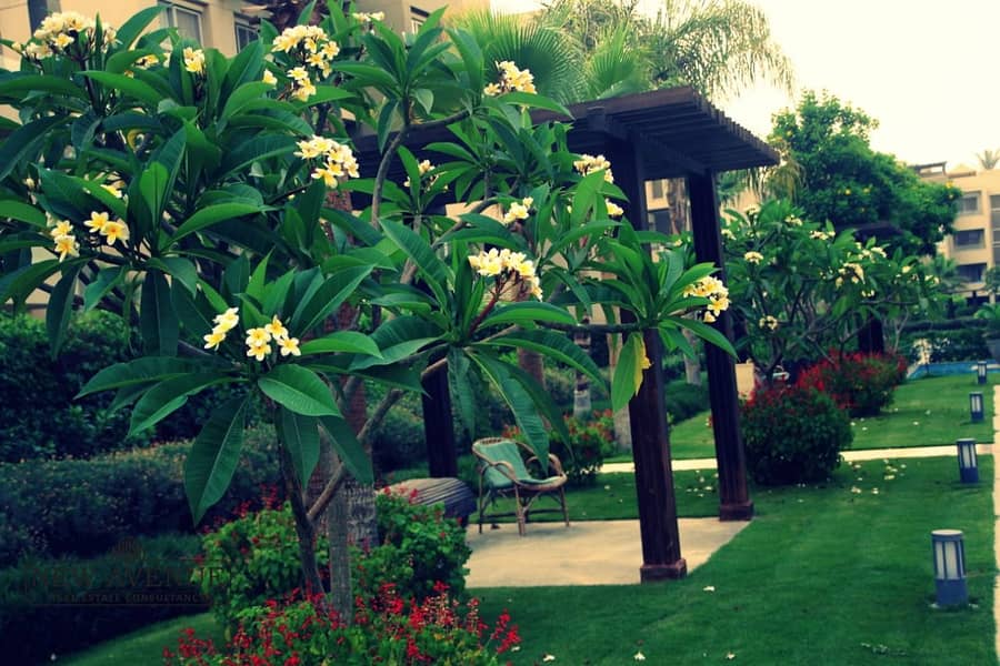 33 WhatsApp Image 2025-11-10 at 1.53. 20 PM. jpeg