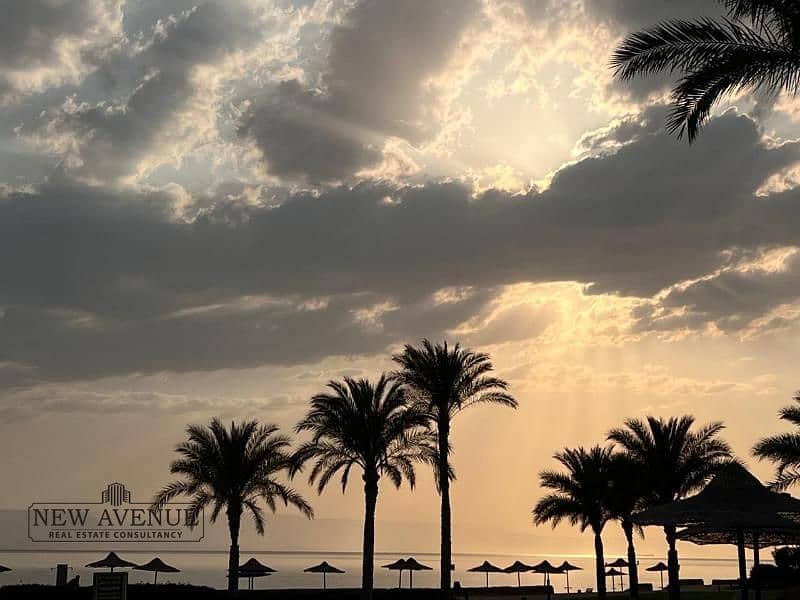 4 WhatsApp Image 2025-11-17 at 3.28. 23 PM (1). jpg