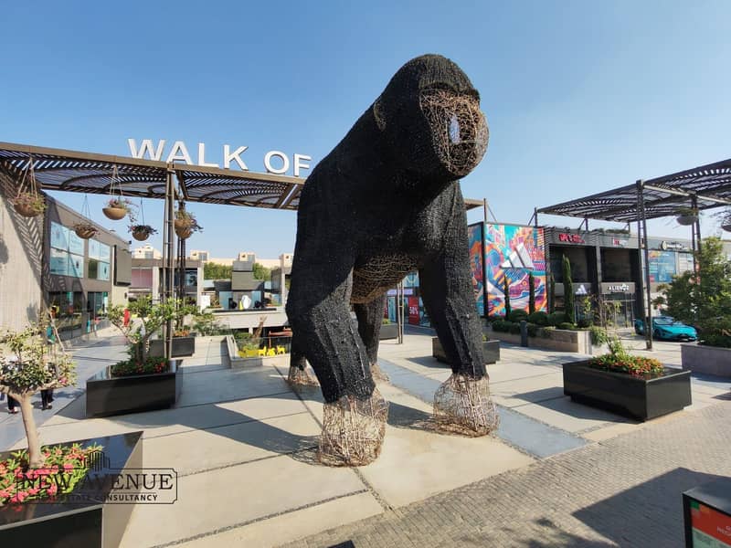 5 WhatsApp Image 2025-11-10 at 13.36. 31_1aa87578. jpg