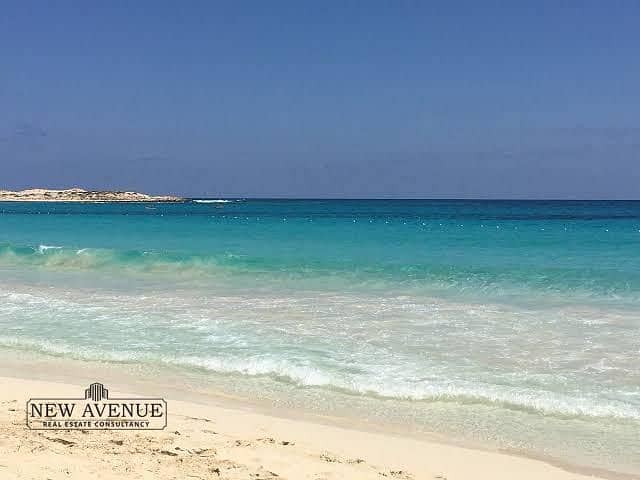 7 WhatsApp Image 2025-11-11 at 11.17. 59 AM. jpeg