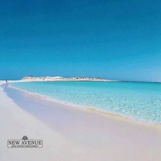 8 WhatsApp Image 2025-11-11 at 11.18. 00 AM (1). jpeg