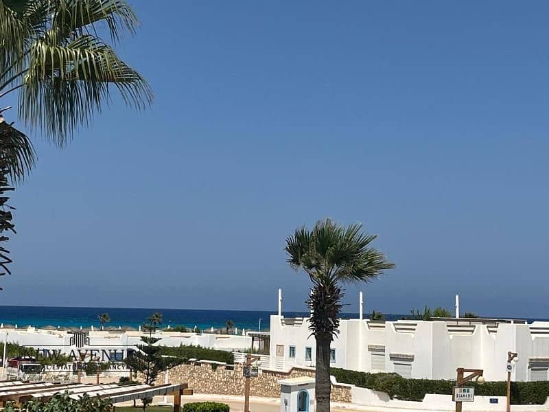 WhatsApp Image 2025-11-09 at 4.28. 36 PM. jpg