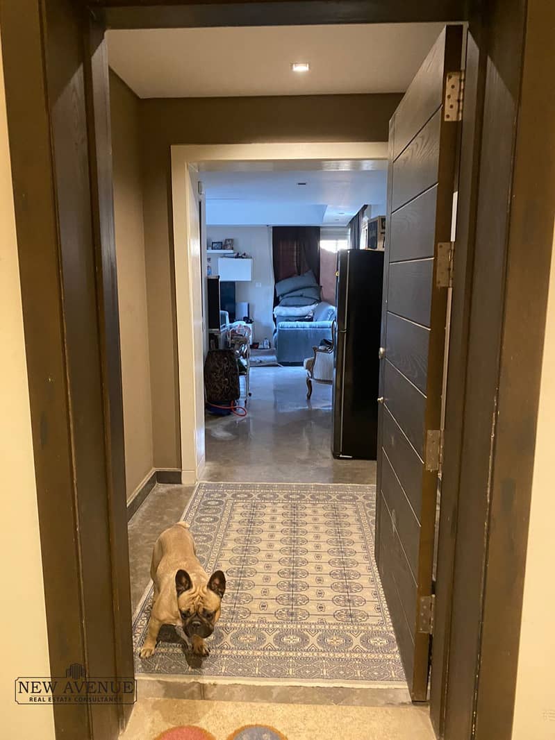 5 WhatsApp Image 2025-11-18 at 9.19. 51 PM (3). jpeg