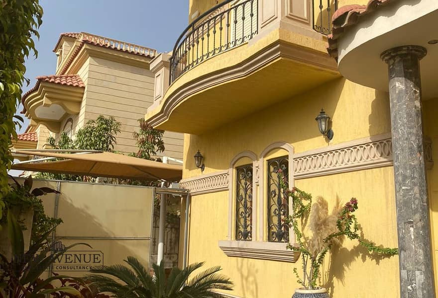 2 65217a26-1ed9-45d8-ad9f-6efc82c52f72_original (20). jpg