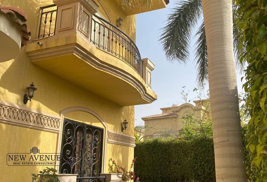 4 65217a26-1ed9-45d8-ad9f-6efc82c52f72_original (18). jpg