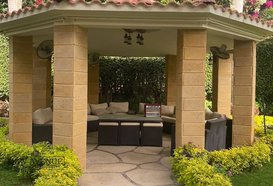 5 65217a26-1ed9-45d8-ad9f-6efc82c52f72_original (17). jpg